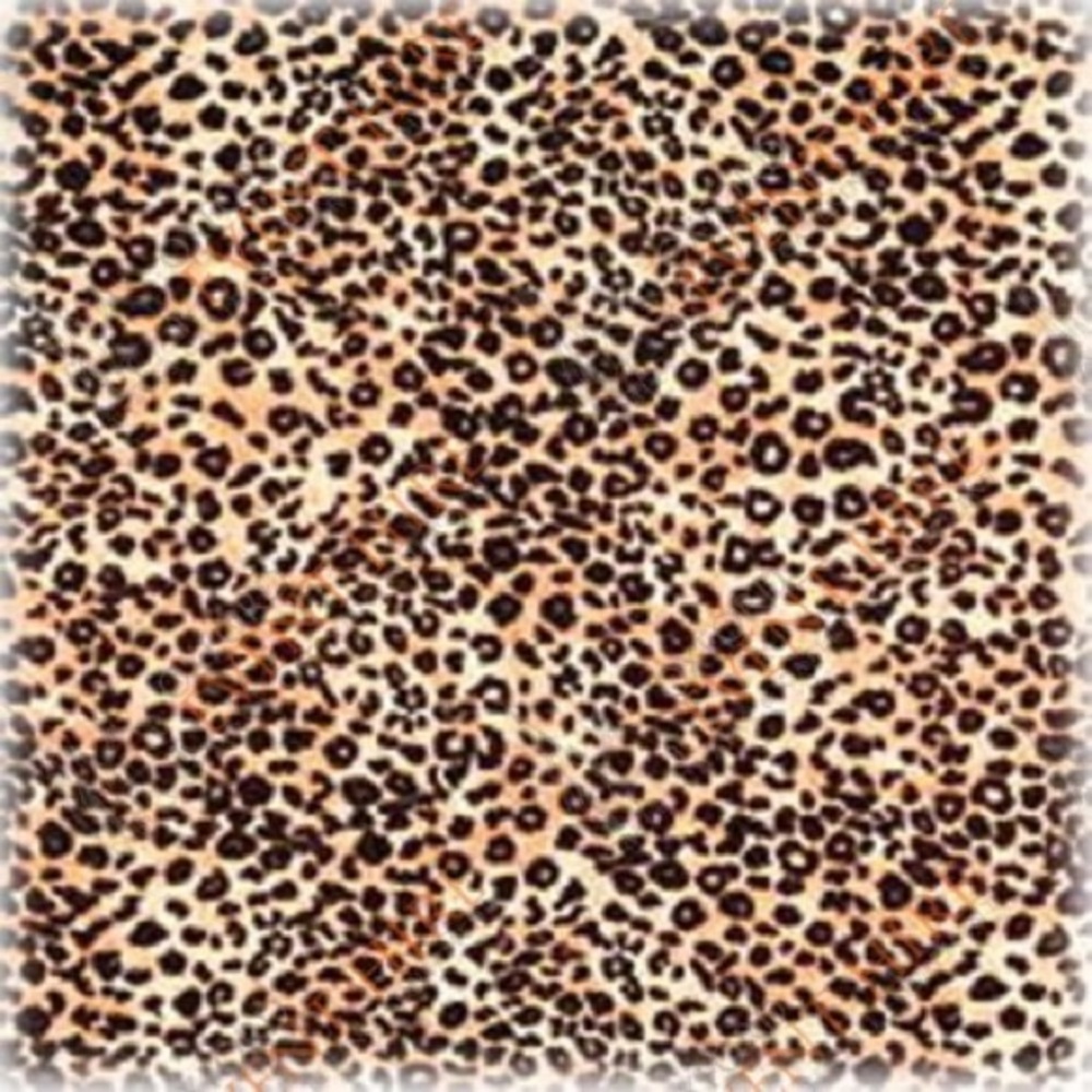 Meet your Posher, Jaclyn